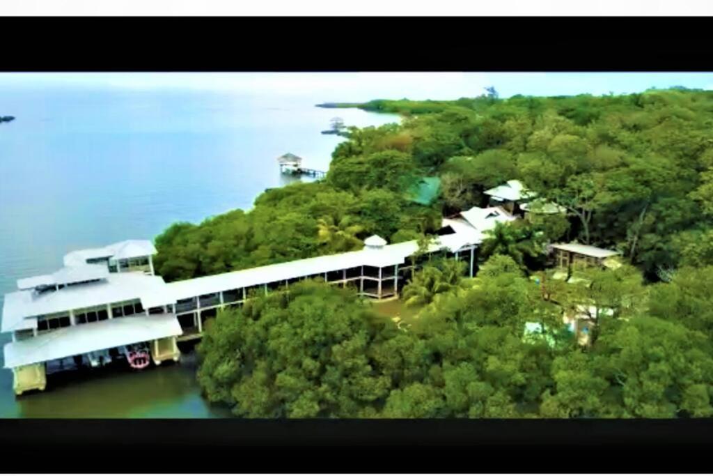 The Dock Resort Over Water Retreat West End Zewnętrze zdjęcie